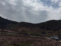 -蒋氏故居