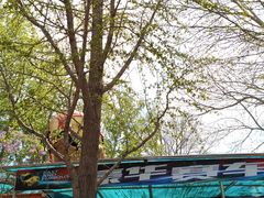 -朝阳公园游乐园