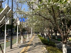 -西北湖绿化广场