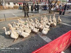 -辛庄国际文化艺术区