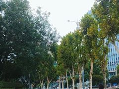 -重庆龙华众华一汽大众4S店(渝中区店)