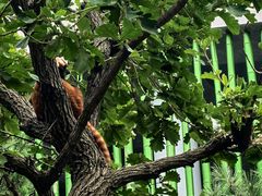 -大连森林动物园