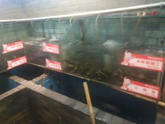 水产区-老凯俚酸汤鱼(鸿通城店)