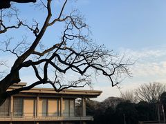 -东京国立博物馆