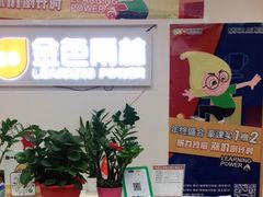 -金色雨林学习力培优(专注力提升)