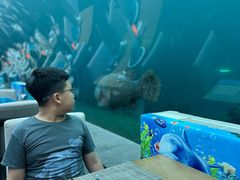 -海棠湾洲际-涛·海底餐厅·美人鱼·自助餐·海底隧道
