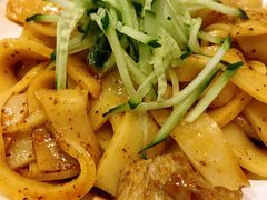 新疆凉皮-巴依老爷新疆美食(望京小街店)