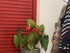 -荷风细雨·中国茶宴(碧云店)