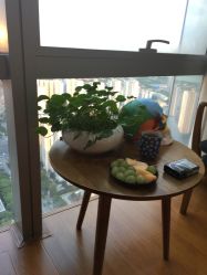 -松和日式美容整骨