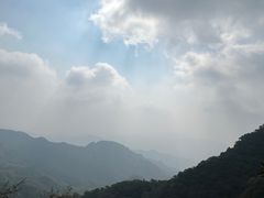 -大岭沟猕猴桃谷风景区