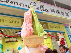 -柠檬车露(卖草地店)