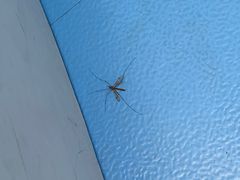 -中国宋庆龄青少年科技文化交流中心