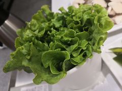 -古乐牛香·鲜牛肉牛杂火锅(吴江三里桥运东商业广场店)
