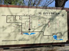 -洛阳白马寺