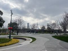 -南汇新城城市公园