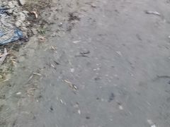 -三圣花乡旅游区