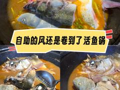 -肥鱼屯活鱼锅(惠工街店)