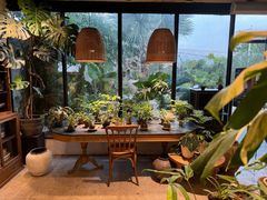 -自由生长植物工作室(深港花卉中心店)