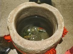 -柴米油盐(土菜院子店)