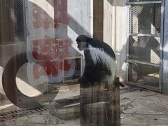 -合肥野生动物园