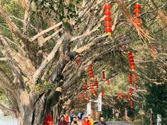 -大湾区中央湿地公园