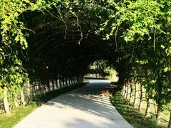 -良渚古城遗址公园