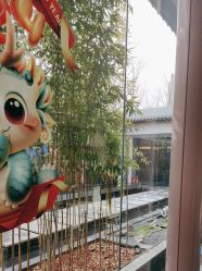 -爱儿美儿童摄影(朝阳公园店)