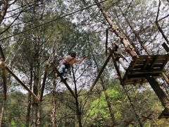 -梦幻奥陶纪景区