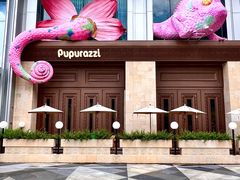 -帕帕拉兹宠物(亚洲旗舰店)