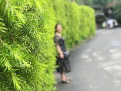 -秀丽东方