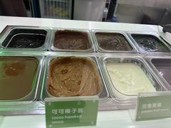 -Salud撒露欧洲冻酸奶(五道口购物中心店)
