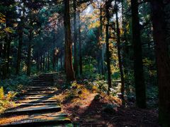 -南岳衡山风景名胜区