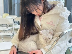 -怪兽屋·羊驼·猫咖·狗咖(俊华广场店)