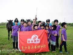 -枫露马术学院(藏书校区)