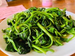 -瑶家饭庄
