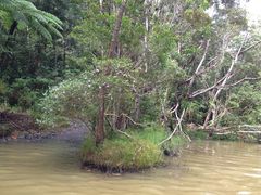 -热带雨林自然公园