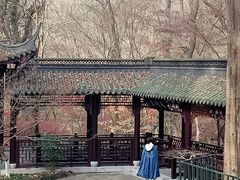-三姐酒酿(老门东店)