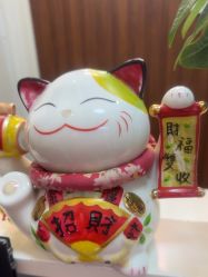 -金美秀养生瘦身
