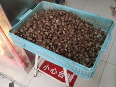 -陈记栗子(长宁路店)