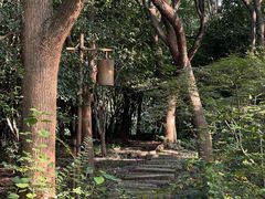 -梁鸿国家湿地公园