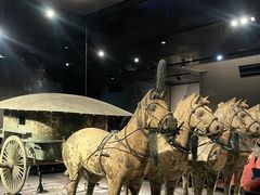 -秦始皇帝陵博物院-丽山园