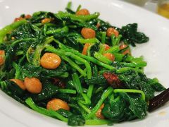 -听涛雅苑百味饺子老家菜馆