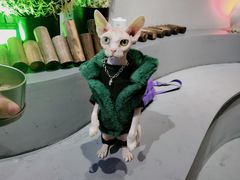 -极木²邸 人与宠物·互动社区
