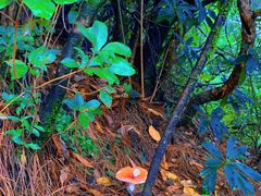 -苍山感通索道