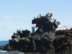 -龙头岩(Dragon Head Rock)