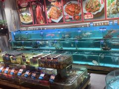 -强记海鲜·大排档(蛇口新街店)