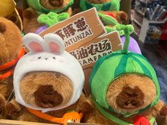 -九木杂物社(新奥购物中心店)