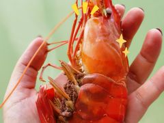 -古尚锦酒楼·水上餐厅