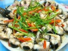 -食海部落