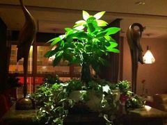 -迪欧咖啡(汇通店)